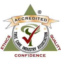 Tree Care Industry Association Accreditation